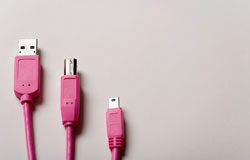 Aldea global 3 Usb rosas